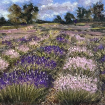 Moira Savage - Cotswold Lavender, Broadway, Worcestershire