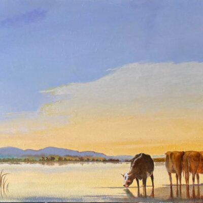 Jonny Lewis - Albert's cows in the floods (oil on canvas)
