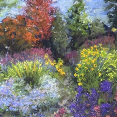 Moira Savage - Michaelmas Star, The Picton Gardens, Colwall, Worcestershire. Soft pastel on paper.