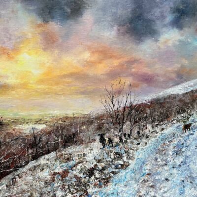 Anna Cumming - Foraging