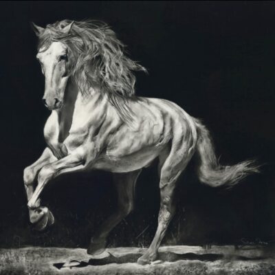 Sarah Stokes - Charcoal horse