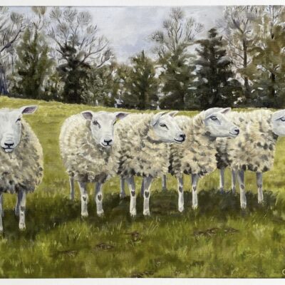 TGA Fine Art The sheep on Brook Lane. Oil on linen. 20 x 16 inch