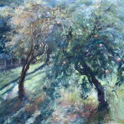 Stella Downing - Sunlight and shadows