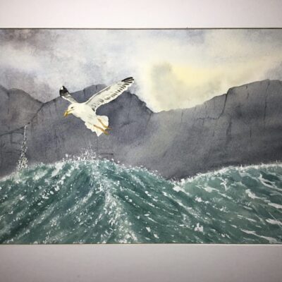 Robert Webster - Ride the Waves