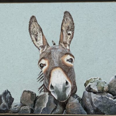 Jude Sullivan - Inquisitive Donkey