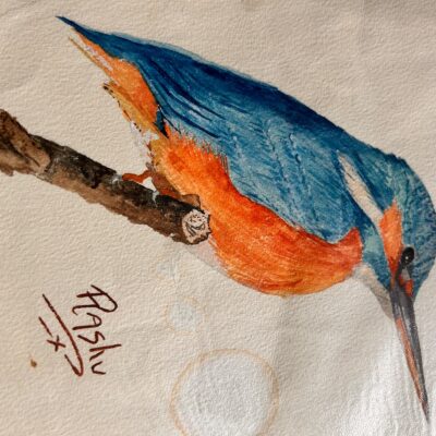 Rashu Brauchli - Kingfisher-watercolour