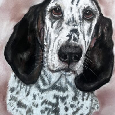 Lyn Sharp Bertie in pastel
