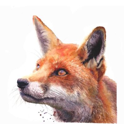 Sarah Stokes - Vixen