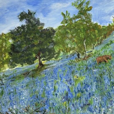 Elaine Tomlinson - Bluebells on Black Hill