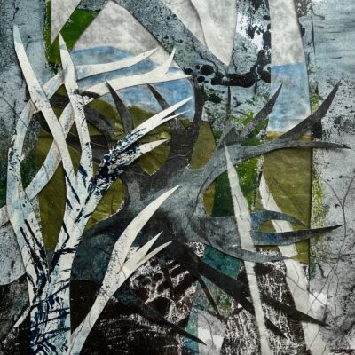 Felicity Robinson - The hills beyond…