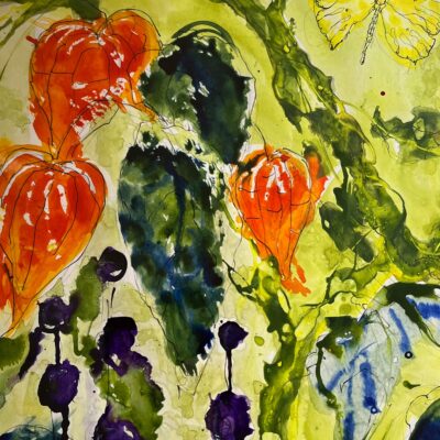 Felicity Robinson - Summer Garden