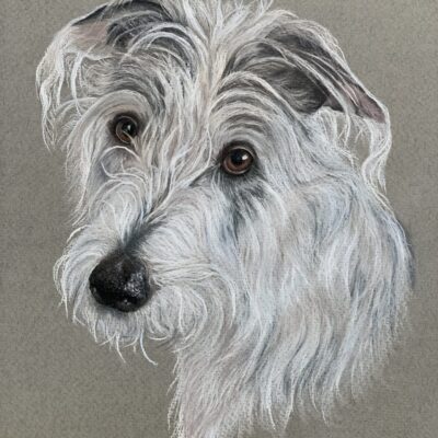 Jude Sullivan - Lurcher