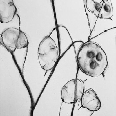 MarieTherese King - Honesty - charcoal