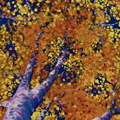 Chris Frost Dappled light