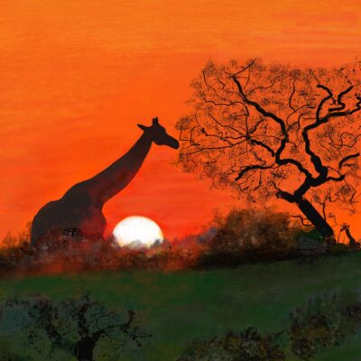 Julia Williams - Sundown in the Kalahari