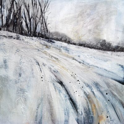 Diane Shorleson - Softly & Silently