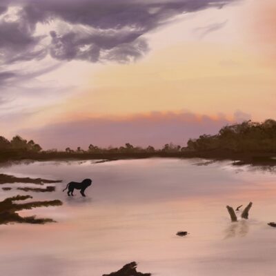 Julia Williams - Simba Reflects