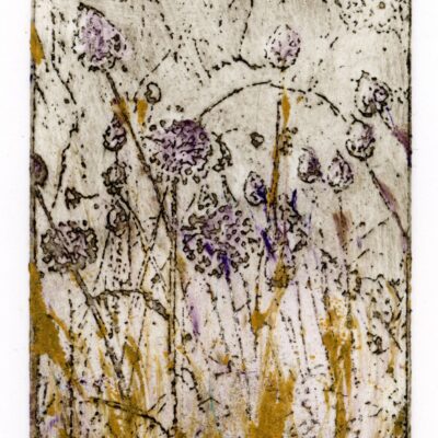 Alison Tidmarsh - Meadow x aeris effigies, Intaglio: Relief Brass Plate Etching, À la poupée