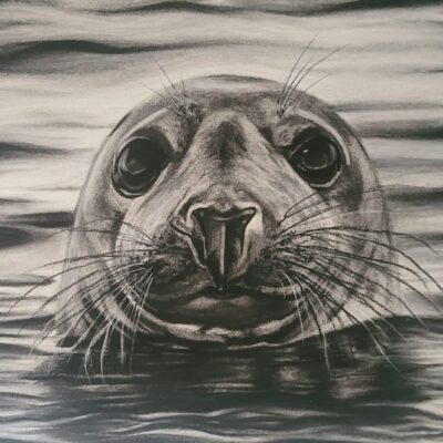 Jaime Moore - Peepo!