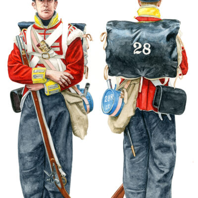 Dick Delingpole - Private of 28th South Gloucestershire Regiment, 1815