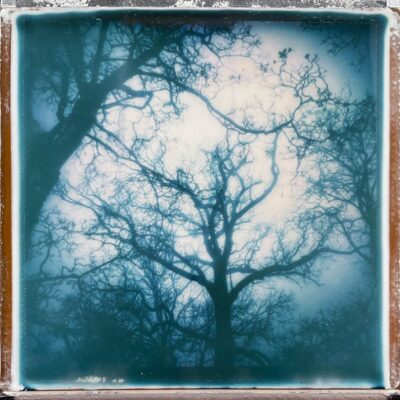 Richard Nicholls Winter Blues – original Polaroid instant film
