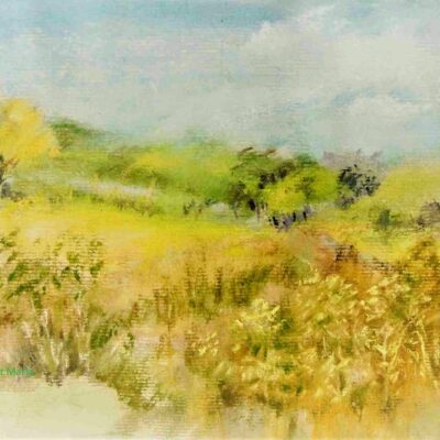 Maria Toman - Summer walk, pastel