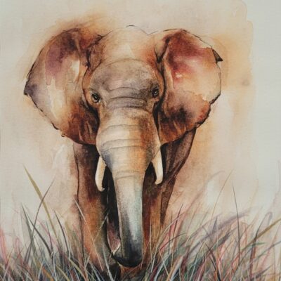 Jaime Moore - Stomp to the Savanna