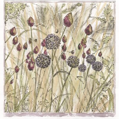 Alison Tidmarsh - Summer Meadow, Intaglio: Drypoint Etching