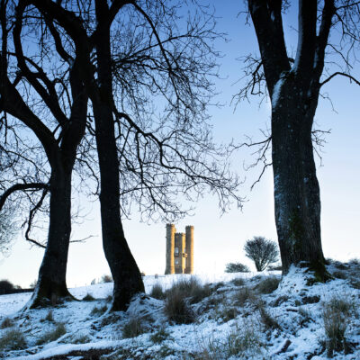 Kate Barry - Broadway Tower - through the trees