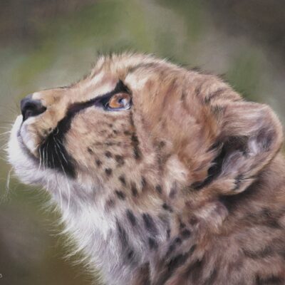 Louise Hancox - Unwritten Destiny