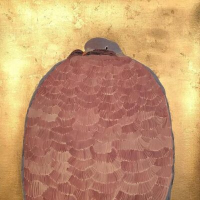 Lucia Sellars - Pigeon