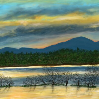 Julia Williams - Floods of Worcester Part 1