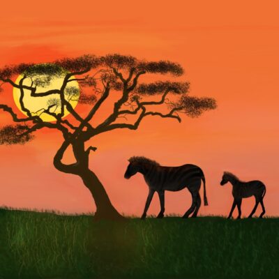 Julia Williams - Lonely Trek Home