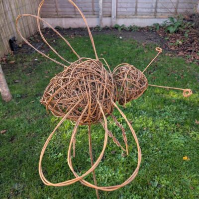 Jo Sullivan/ Willow With Jo -