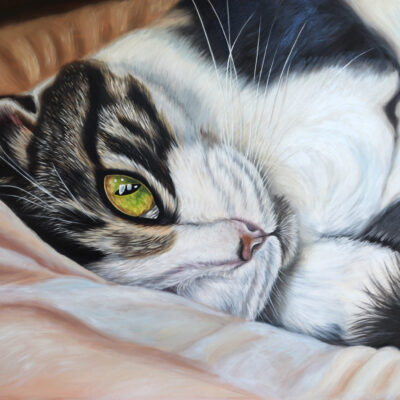 Irisha - “Bell” – Original Oil Painting of My Cat