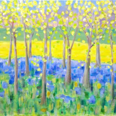Ann Feest - Bluebell Wood
