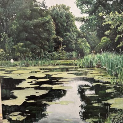 Stephen Rea Upper Arrow