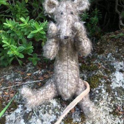 Jacqueline Berry - Mr Ratty