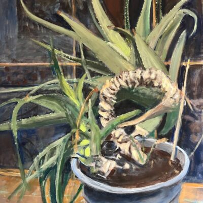 Bill Evans - cactus, night time