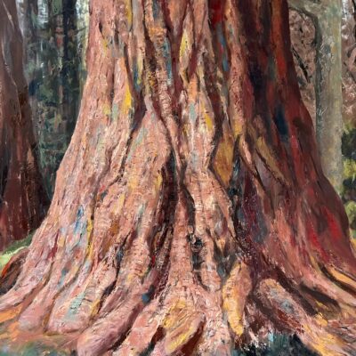 Bill Evans - Large redwood