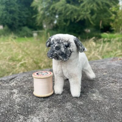 Jacqueline Berry - Pug Dog Breed Commission