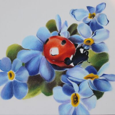 Jaime Moore - Busy Bug