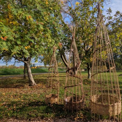 Jo Sullivan/ Willow With Jo - A collection of different sized willow obelisks in the sunshine