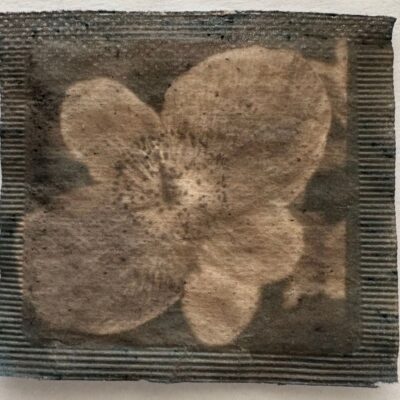 Anne Guest - teabag empire