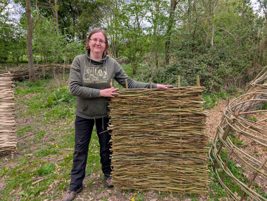Creating some beautiful willow hurdles in the woods