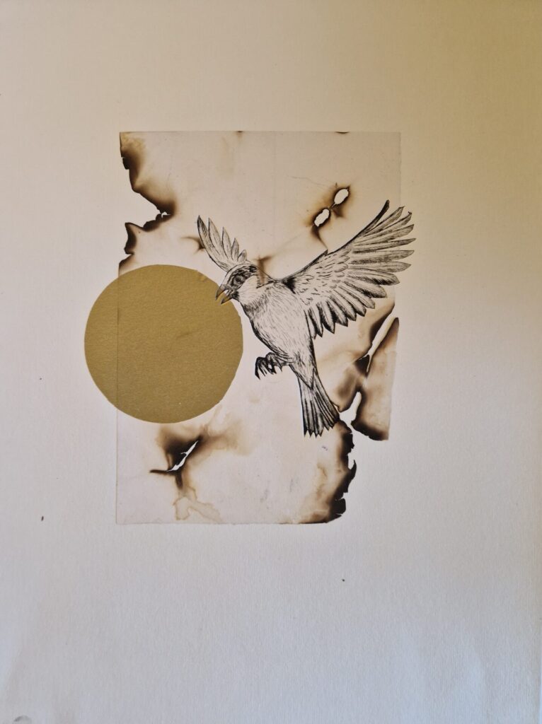 Watercolour Illustration and Printmaking