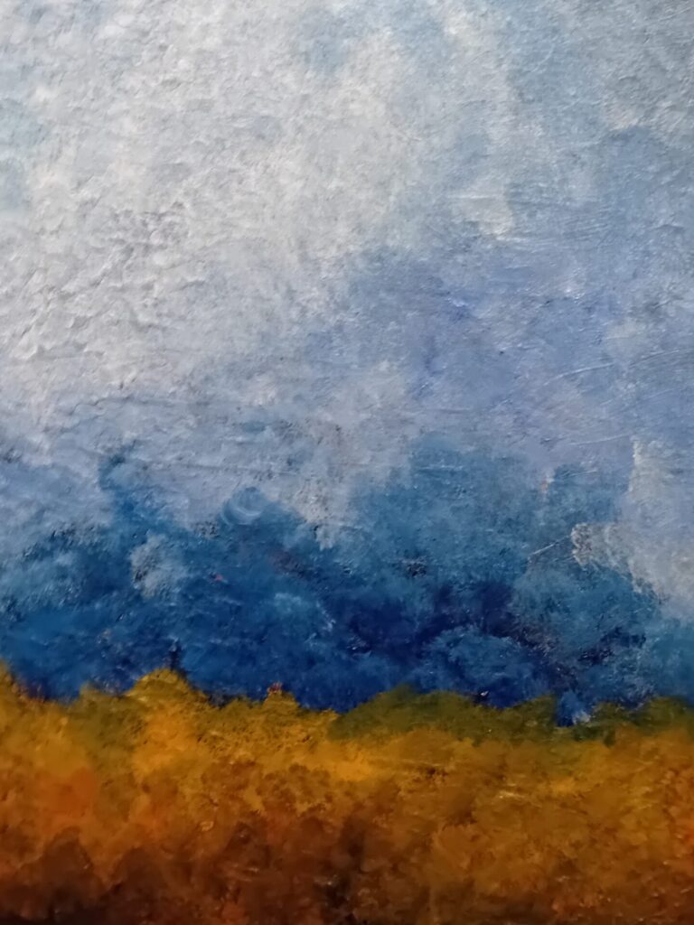 Barley fields