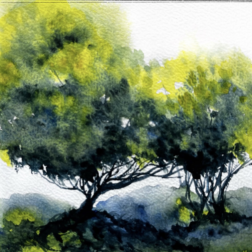 Semi abstract watercolour painting of trees
