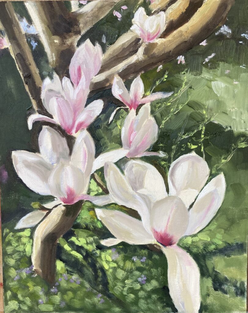 Spring Magnolia Blossom painted in oils