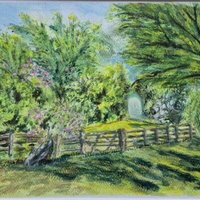 Artwork by Charlotte Carver: Charlotte Carver - Garden in Sunlight (gouache)